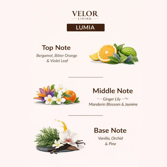 Eclipse Scent oil - Velor Living