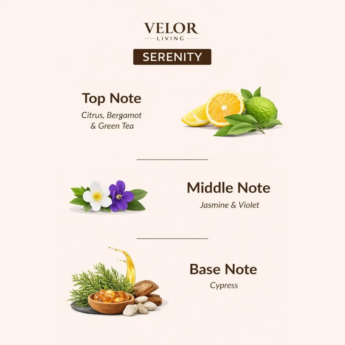 Serenity Scent oil - Velor Living