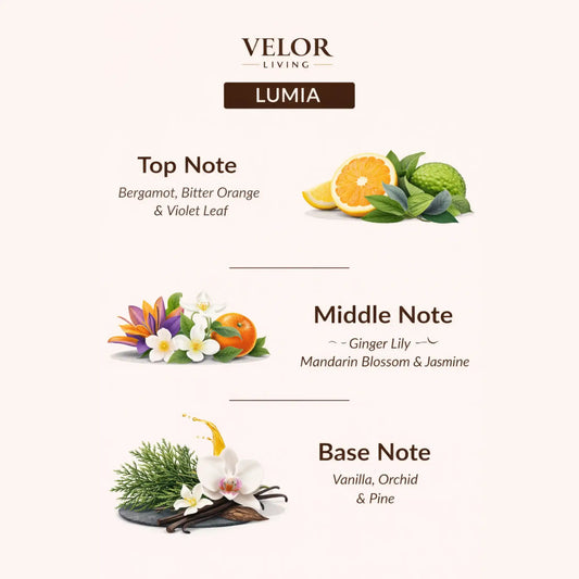 Lumia Scent oil - Velor Living
