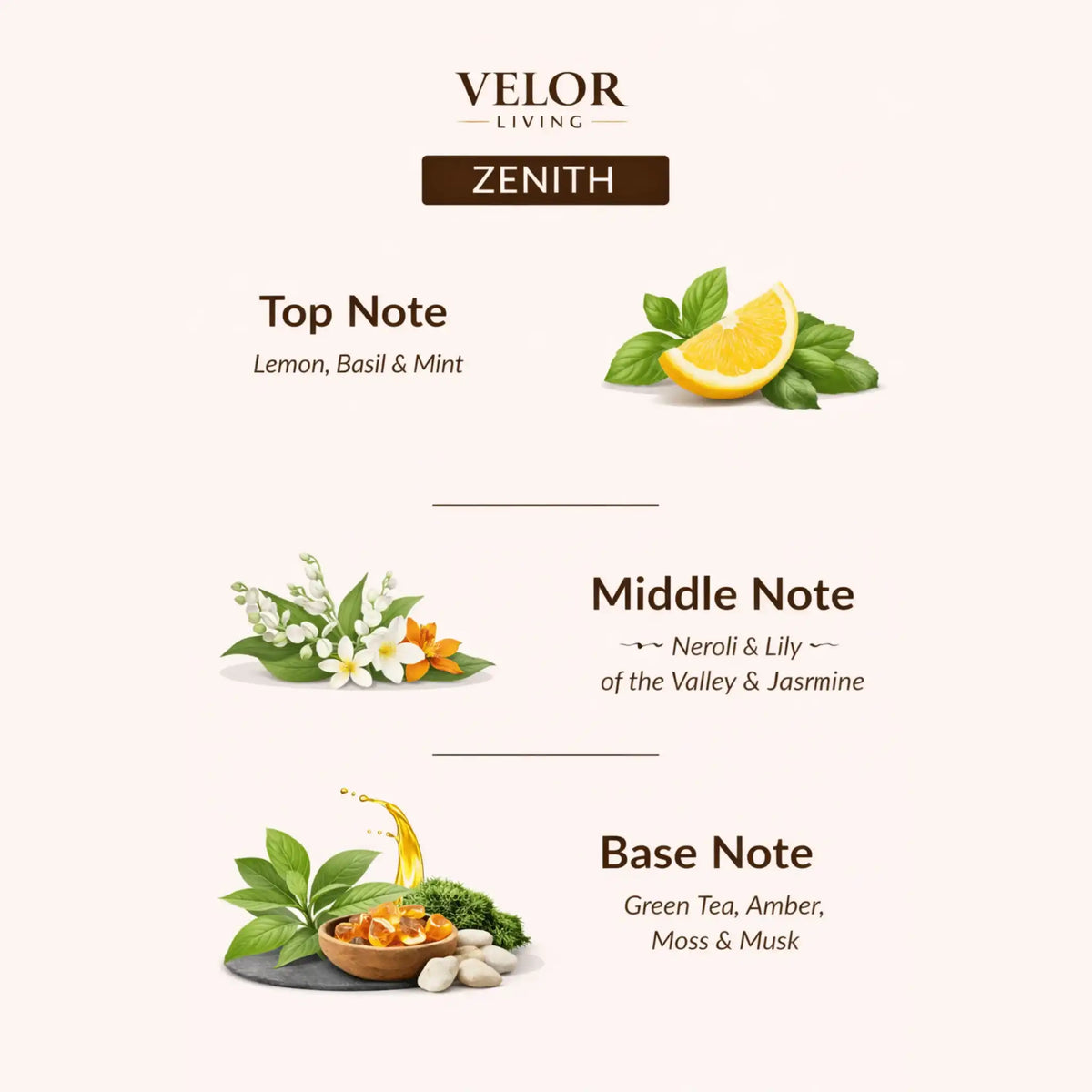Zenith Scent oil - Velor Living