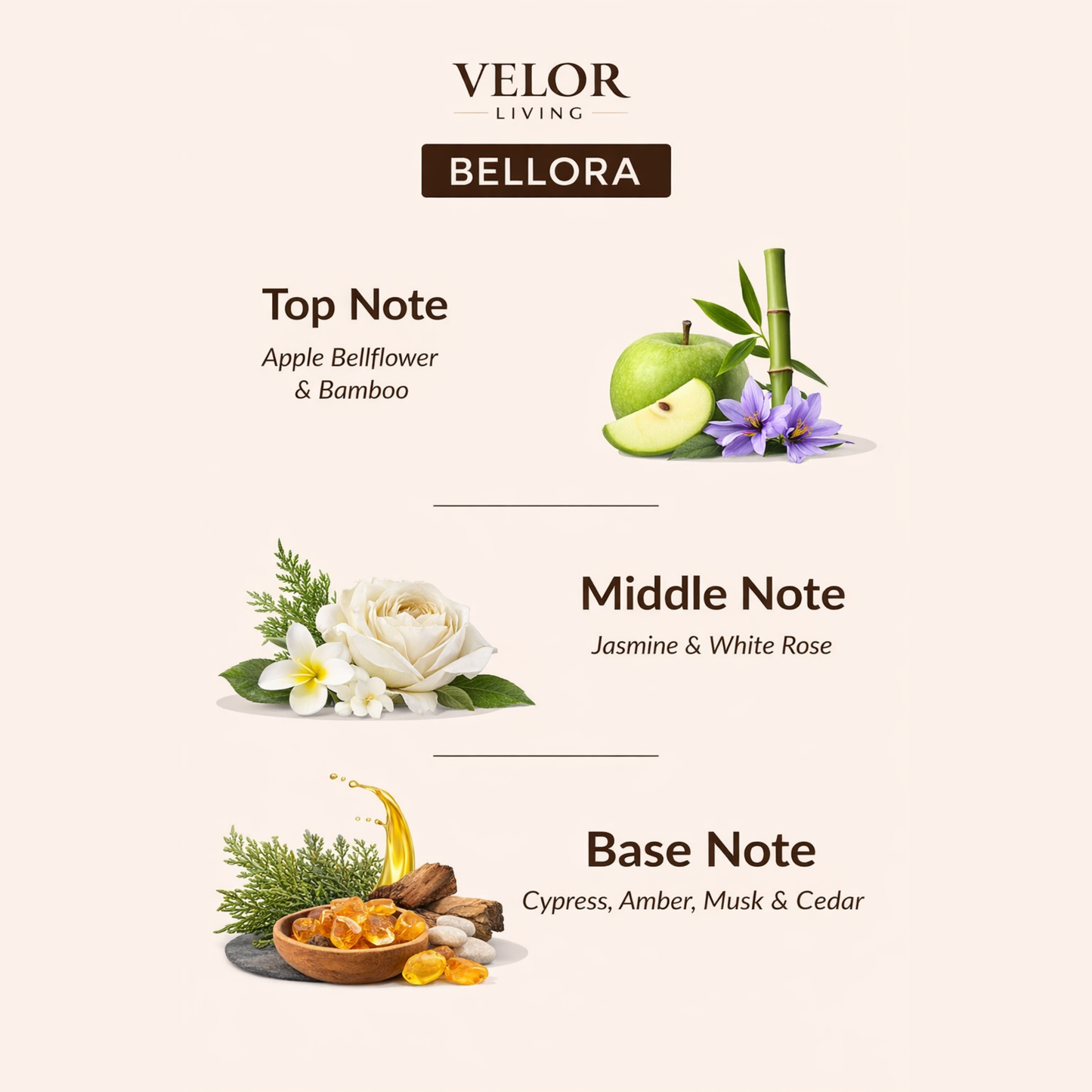 Bellora Scent oil