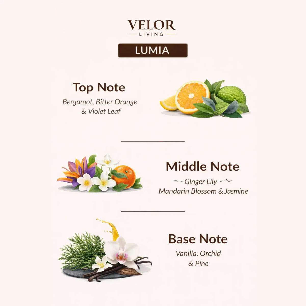 Lumia Scent oil - Velor Living