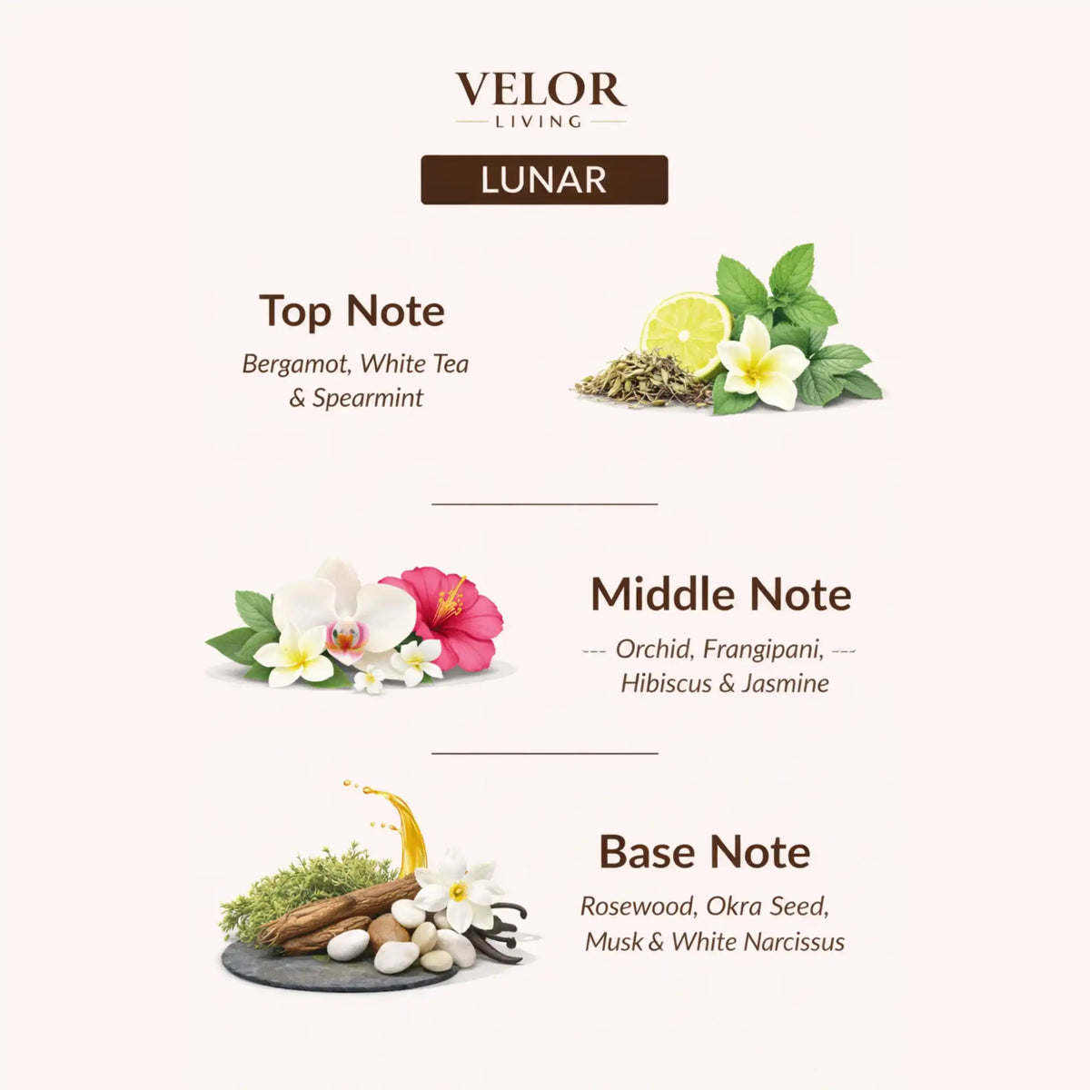 Lunar Scent oil - Velor Living